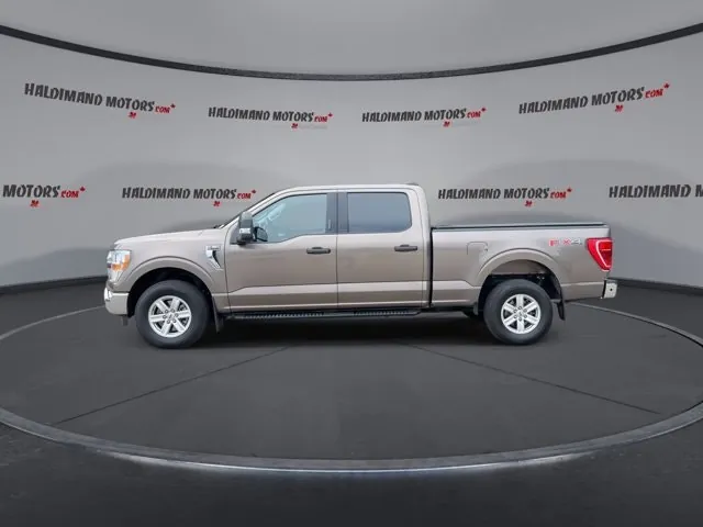 Ford F-150 2022 photo 5