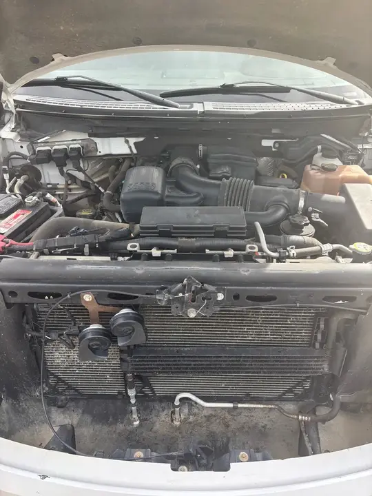 Ford F-150 2010 photo 4