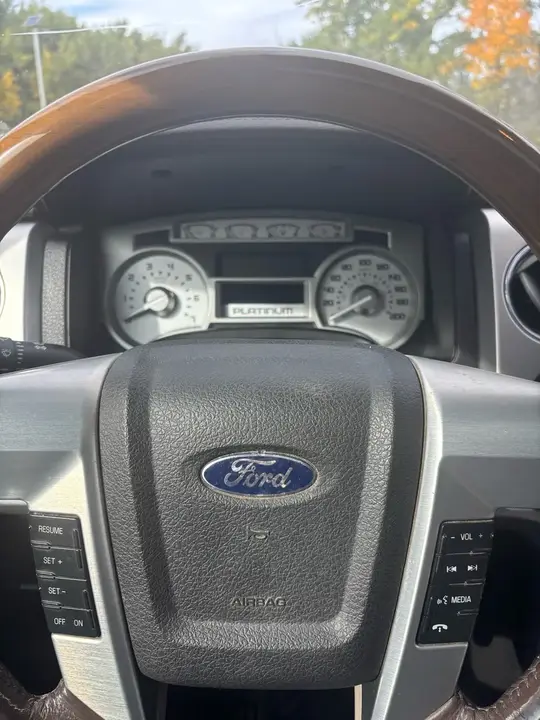 Ford F-150 2010 photo 2