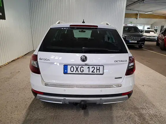 Skoda Octavia Scout 2019 photo 4