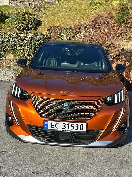 Peugeot E-2008 2021 photo 4