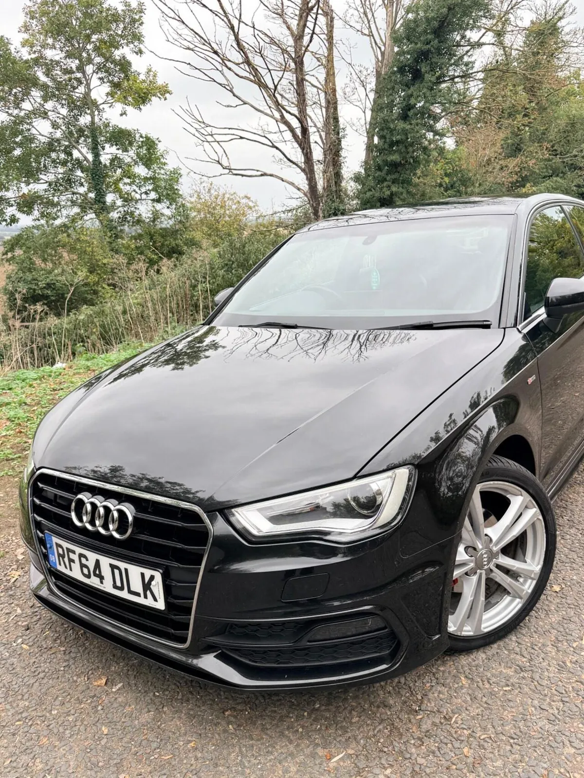 Audi A3 2015 photo 3