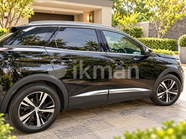 Peugeot 3008 2019 photo 2