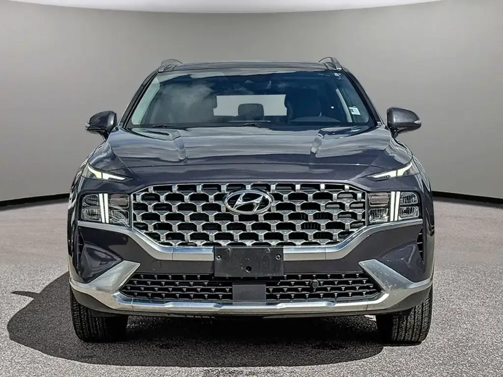 Hyundai Santa Fe 2021 photo 2