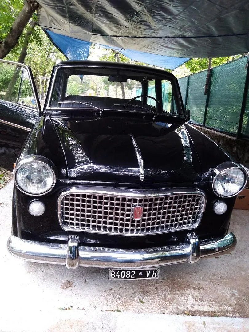 Fiat 1100 1961 photo 3