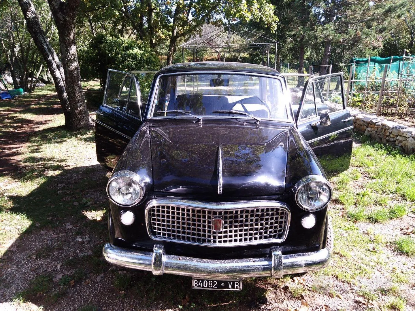 Fiat 1100 1961 photo 5