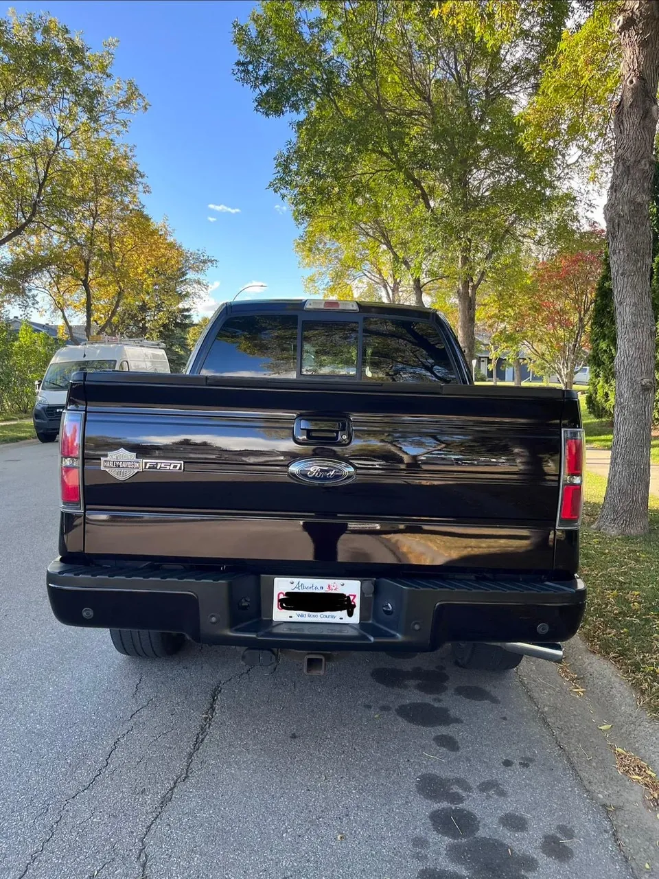 Ford F-150 2010 photo 4