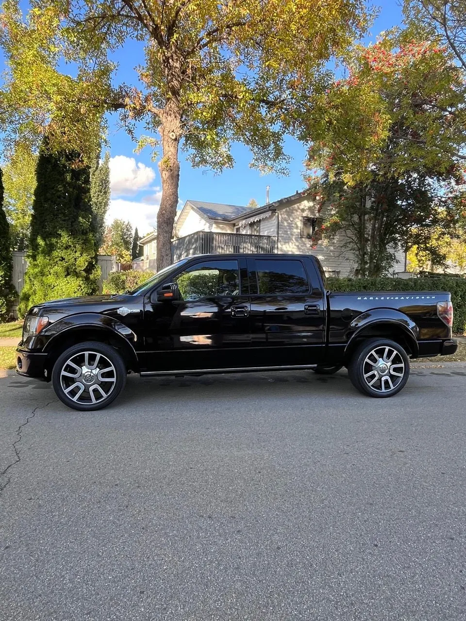 Ford F-150 2010 photo 2