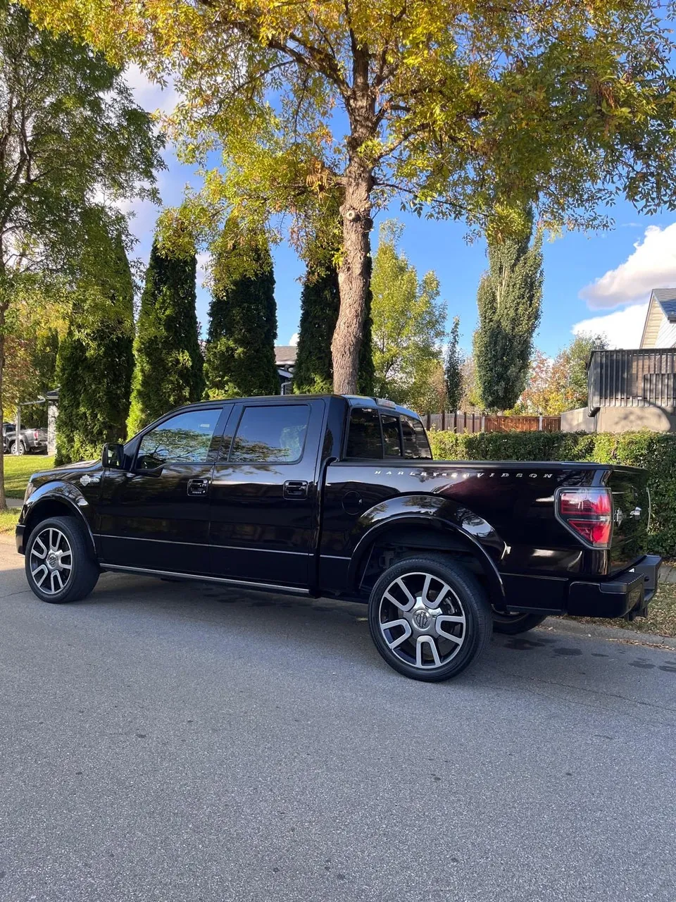 Ford F-150 2010 photo 3