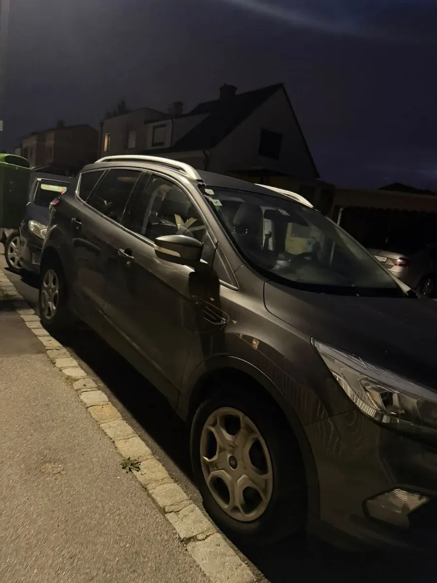 Ford Kuga 2019 photo 3