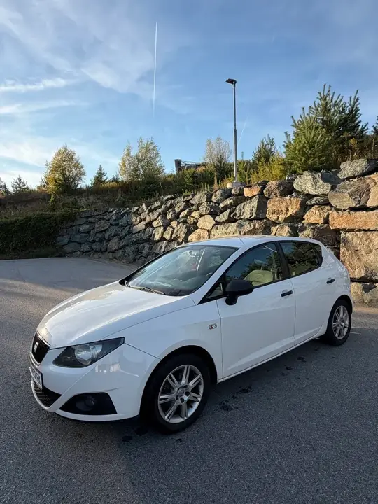 Seat Ibiza 2009 photo 2