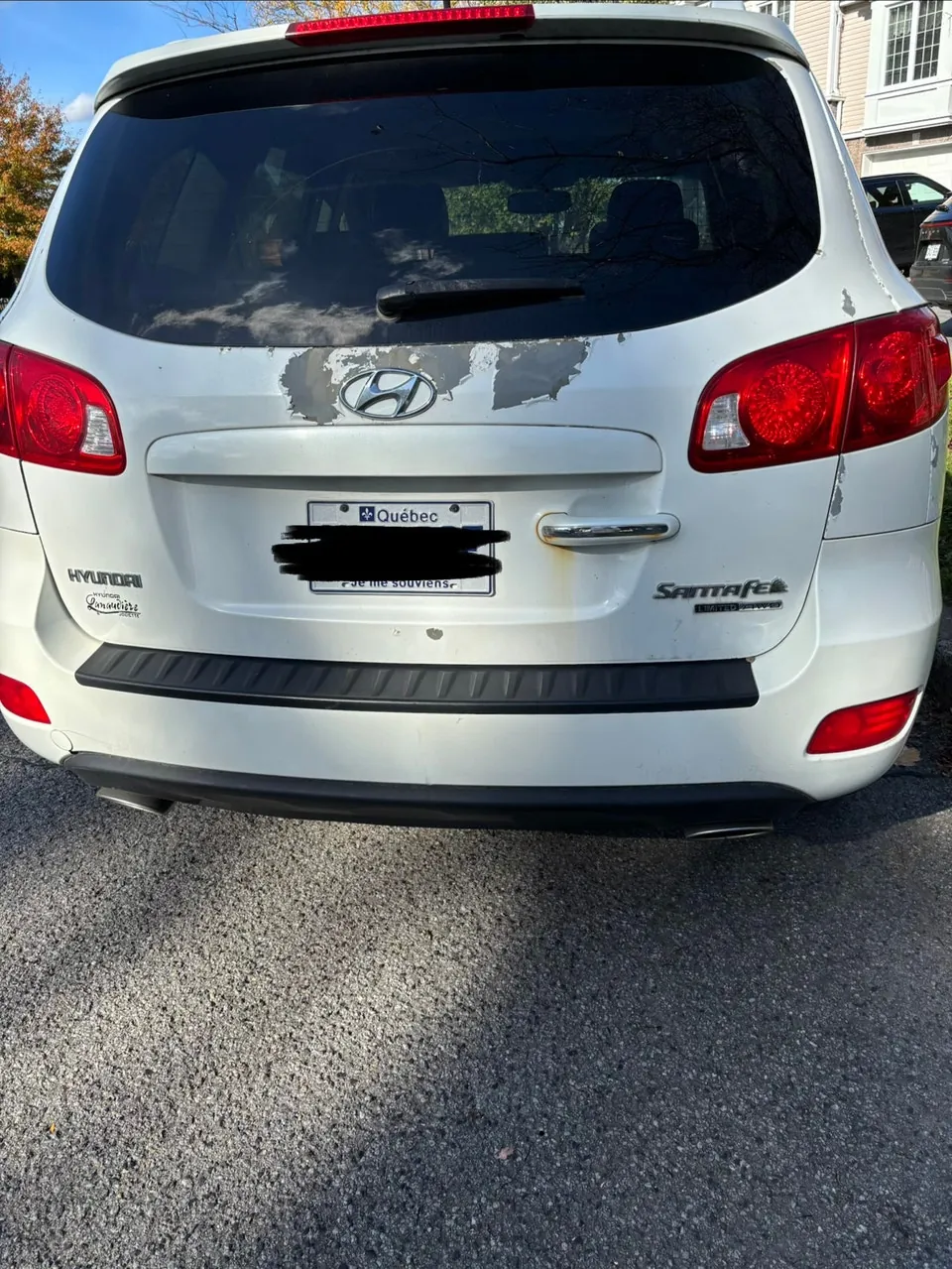 Hyundai Santa Fe 2009 photo 3