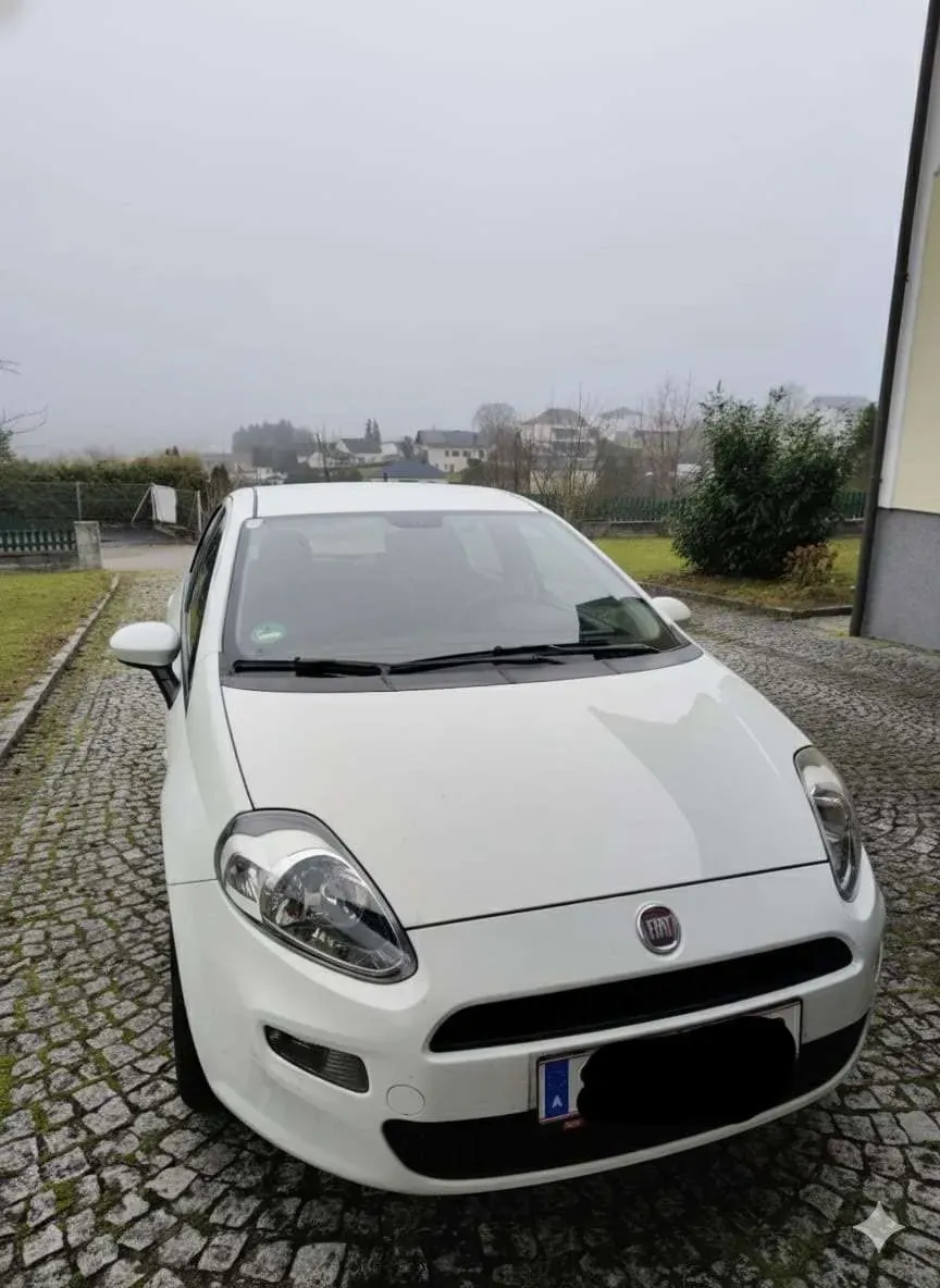 Fiat Grande Punto 2014 photo 3
