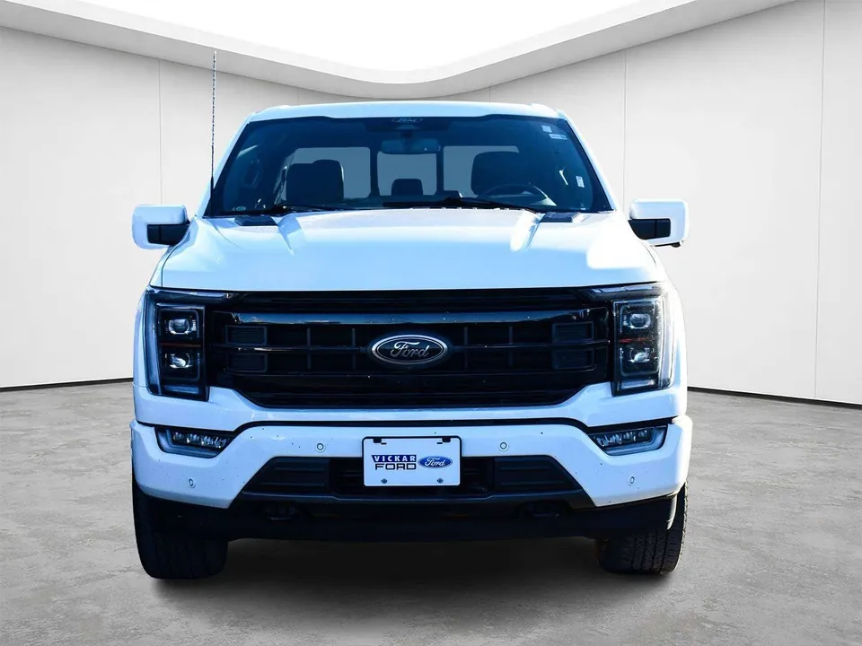Ford F-150 2022 photo 3