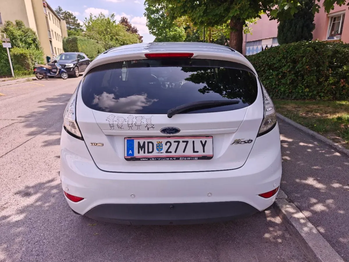 Ford Fiesta 2009 photo 2