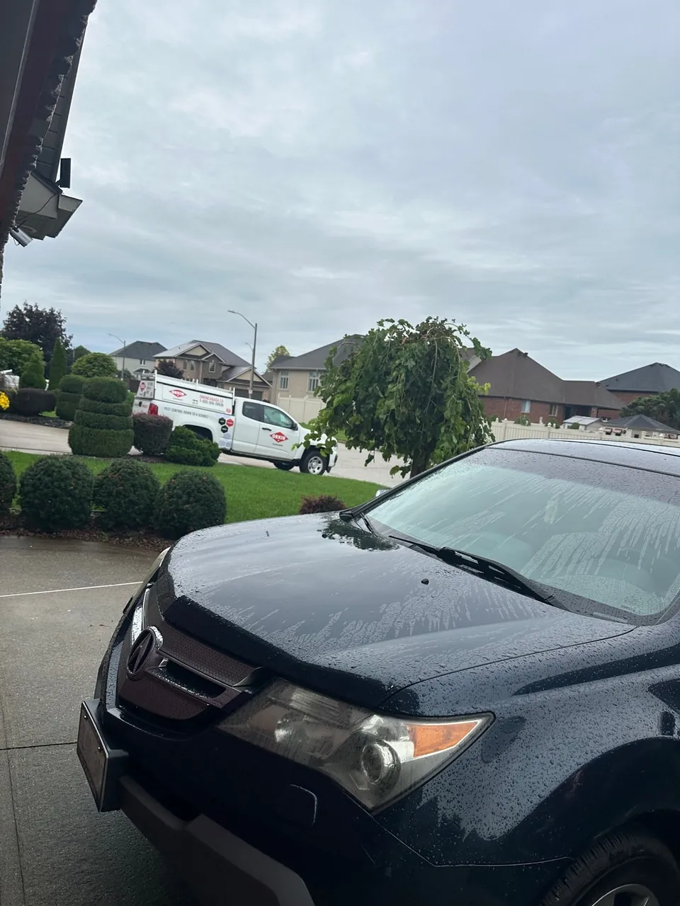 Acura Mdx 2009 photo 4