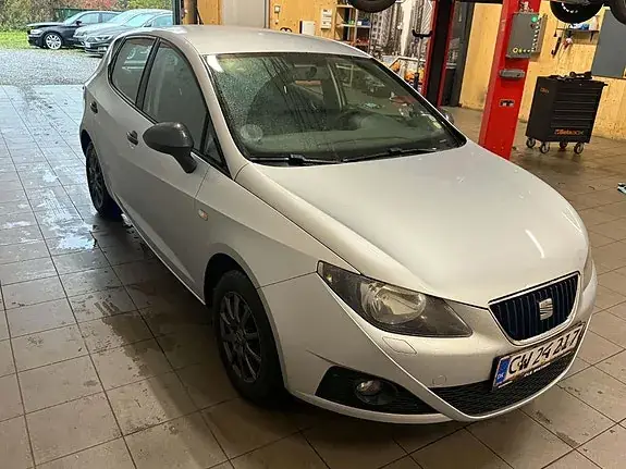 Seat Ibiza 2010 photo 4