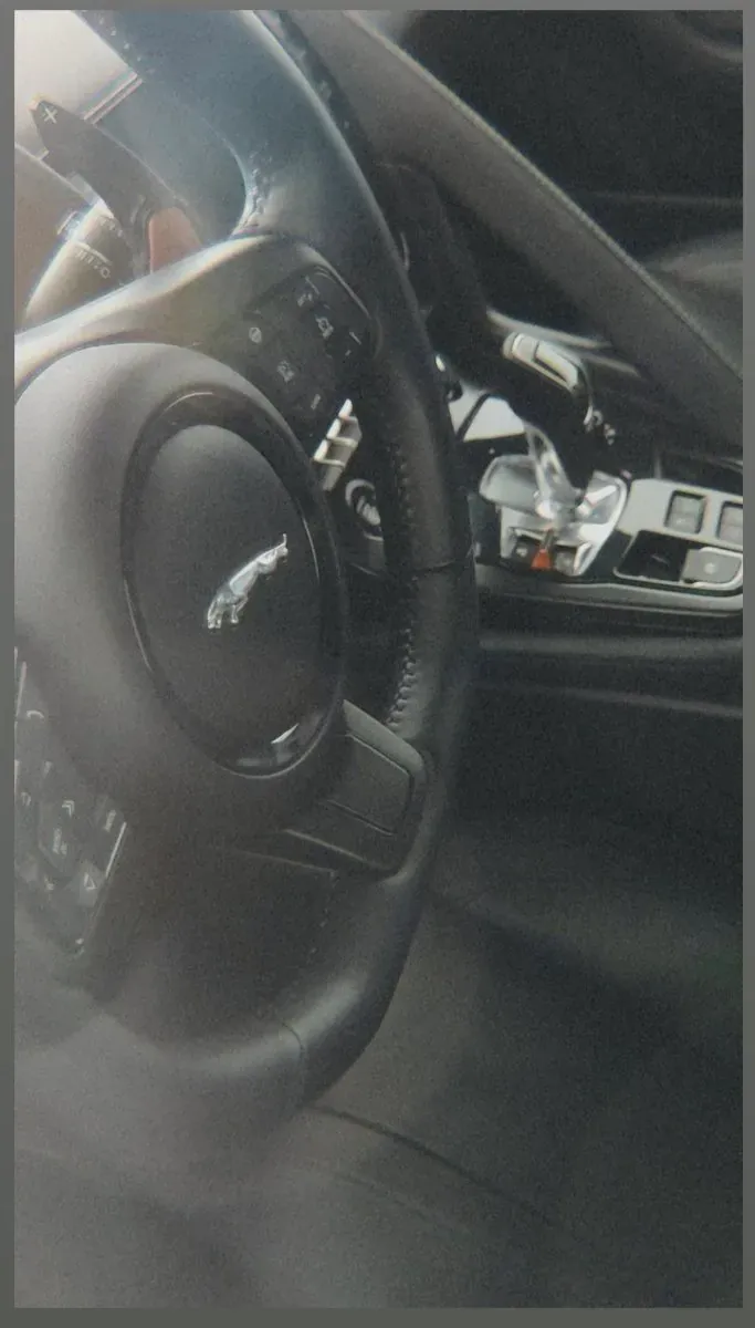 Jaguar F-Type 2014 photo 3