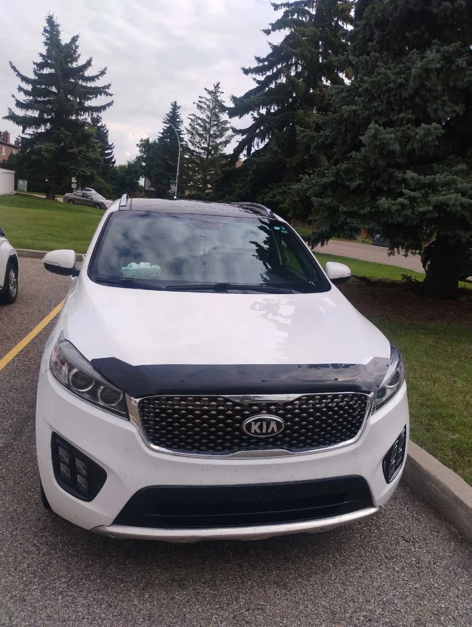 Kia Sorento 2016 photo 2