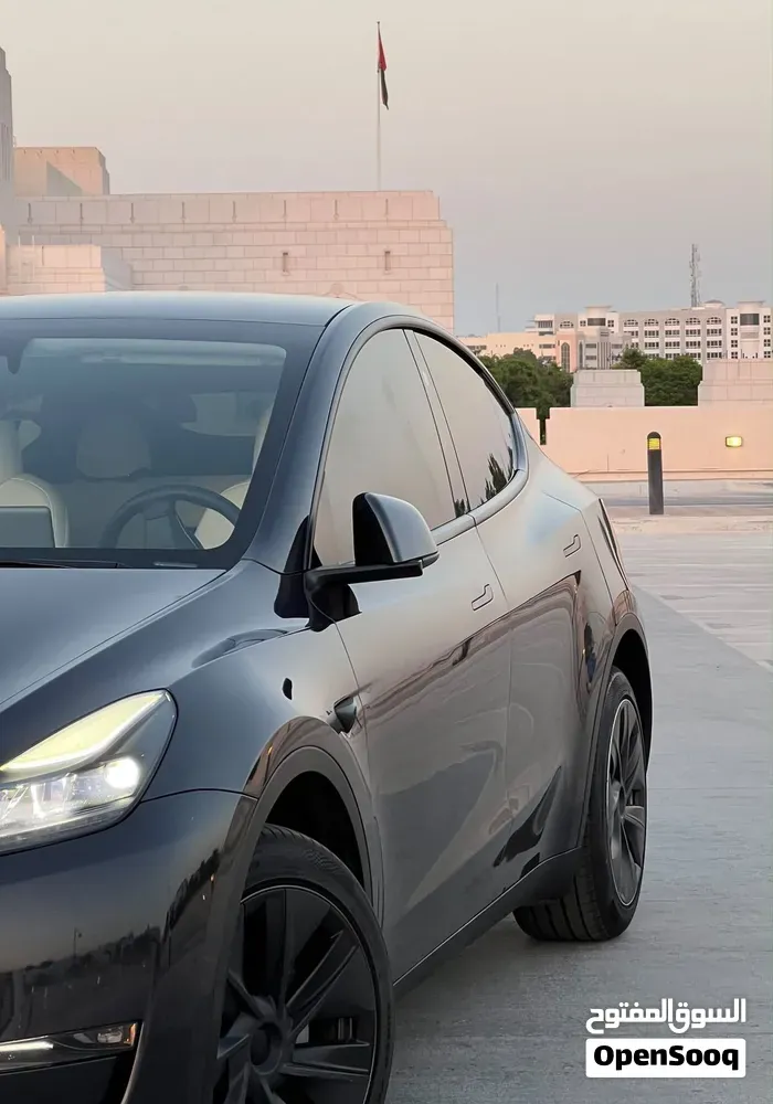 Tesla Model Y 2024 photo 3