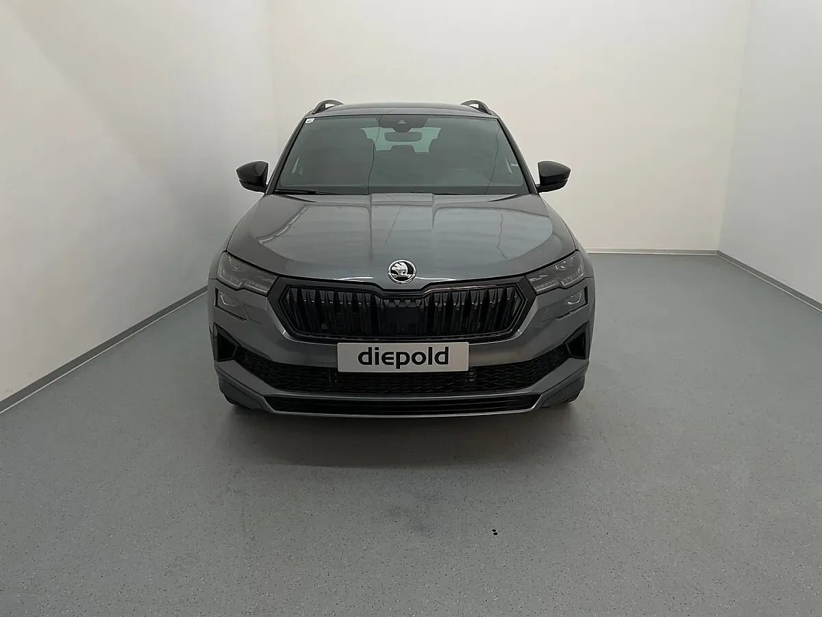 Skoda Karoq 2025 photo 2