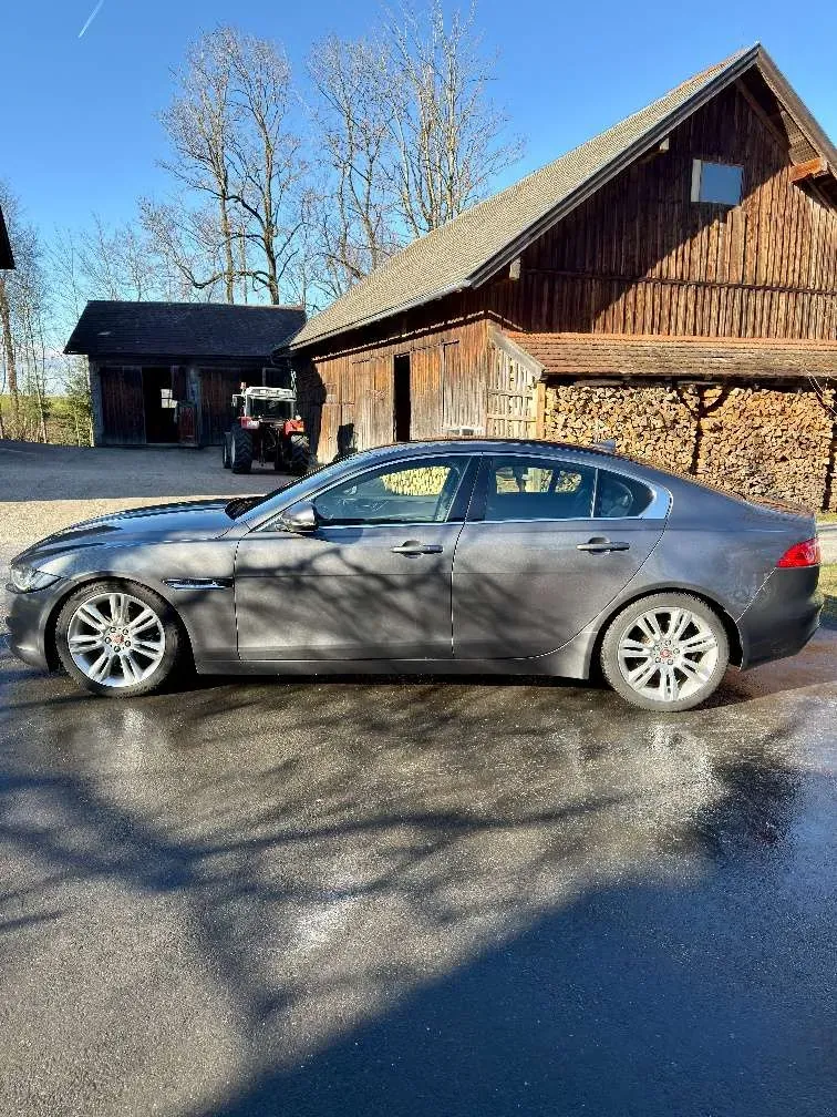 Jaguar Xe 2015 photo 2