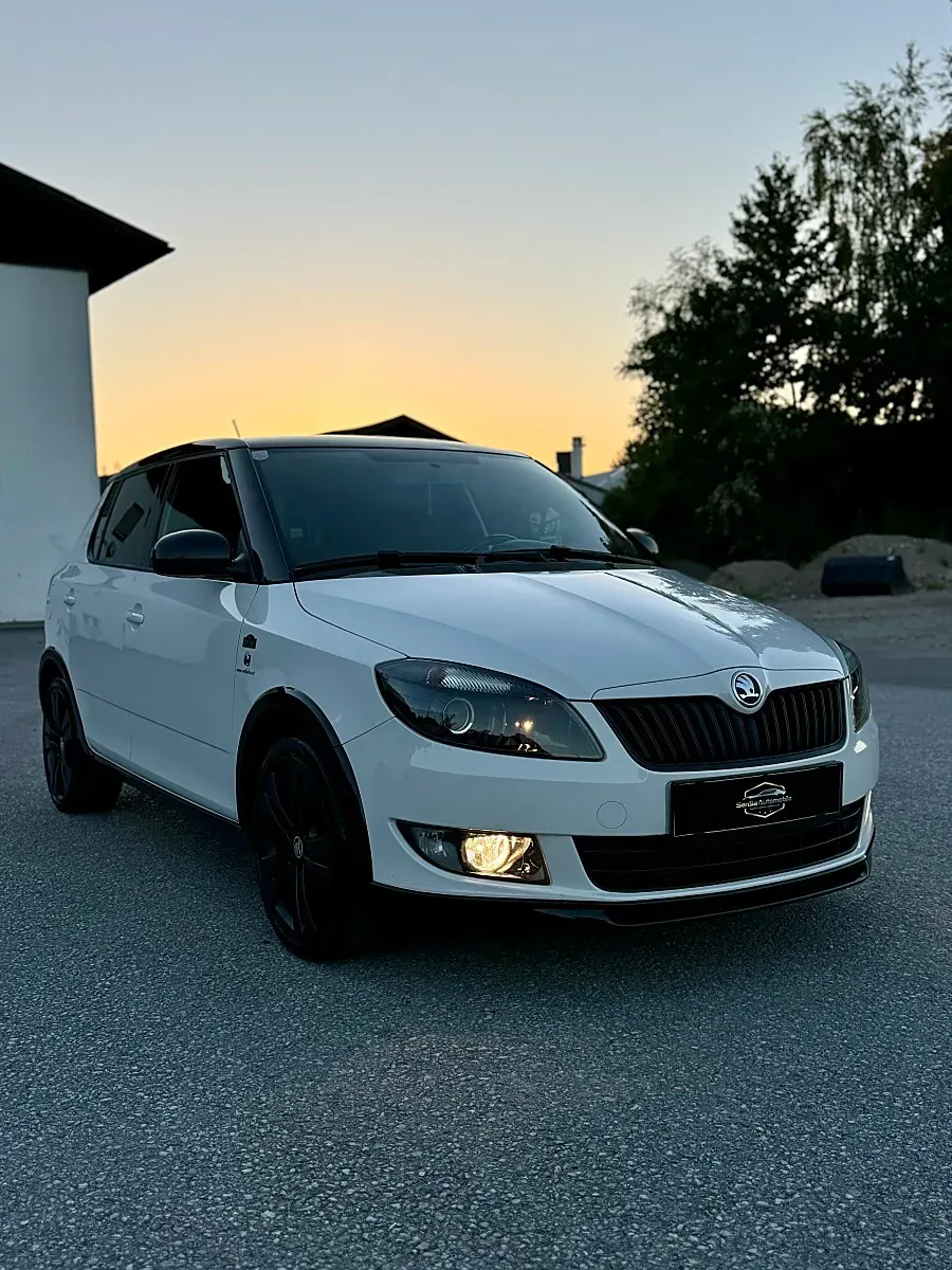 Skoda Fabia 2014 photo 3