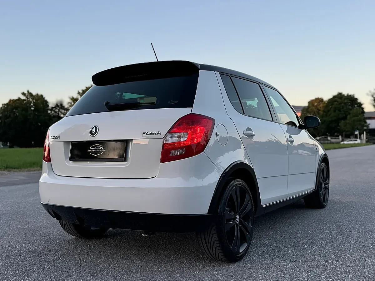 Skoda Fabia 2014 photo 2