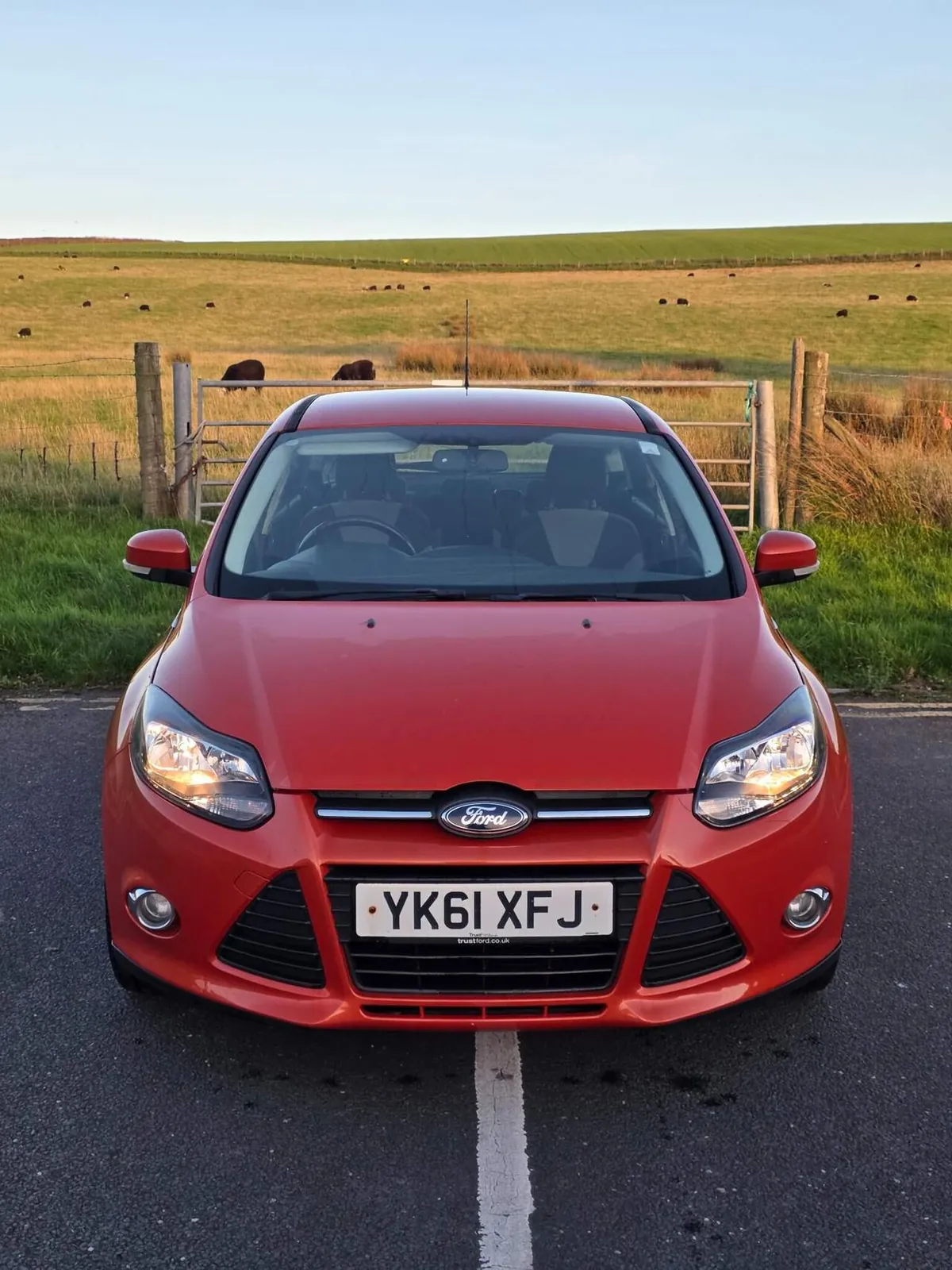 Ford Focus 2011 photo 2