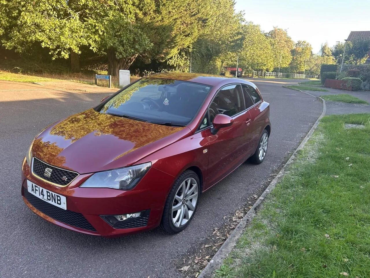 Seat Ibiza 2014 photo 3