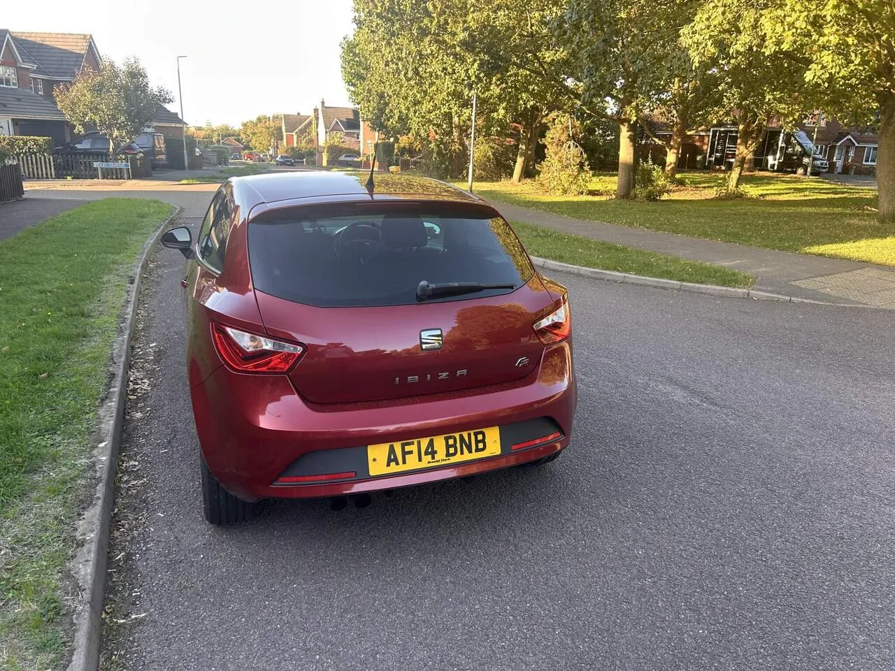Seat Ibiza 2014 photo 4
