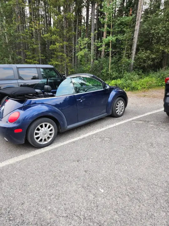 Volkswagen Beetle 2004 photo 2