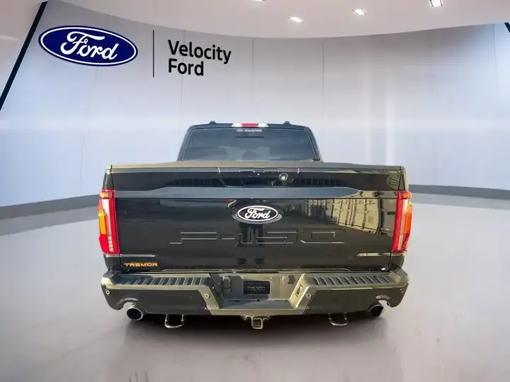 Ford F-150 2024 photo 3