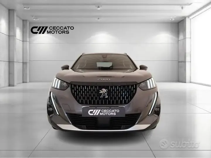 Peugeot 2008 2021 photo 2