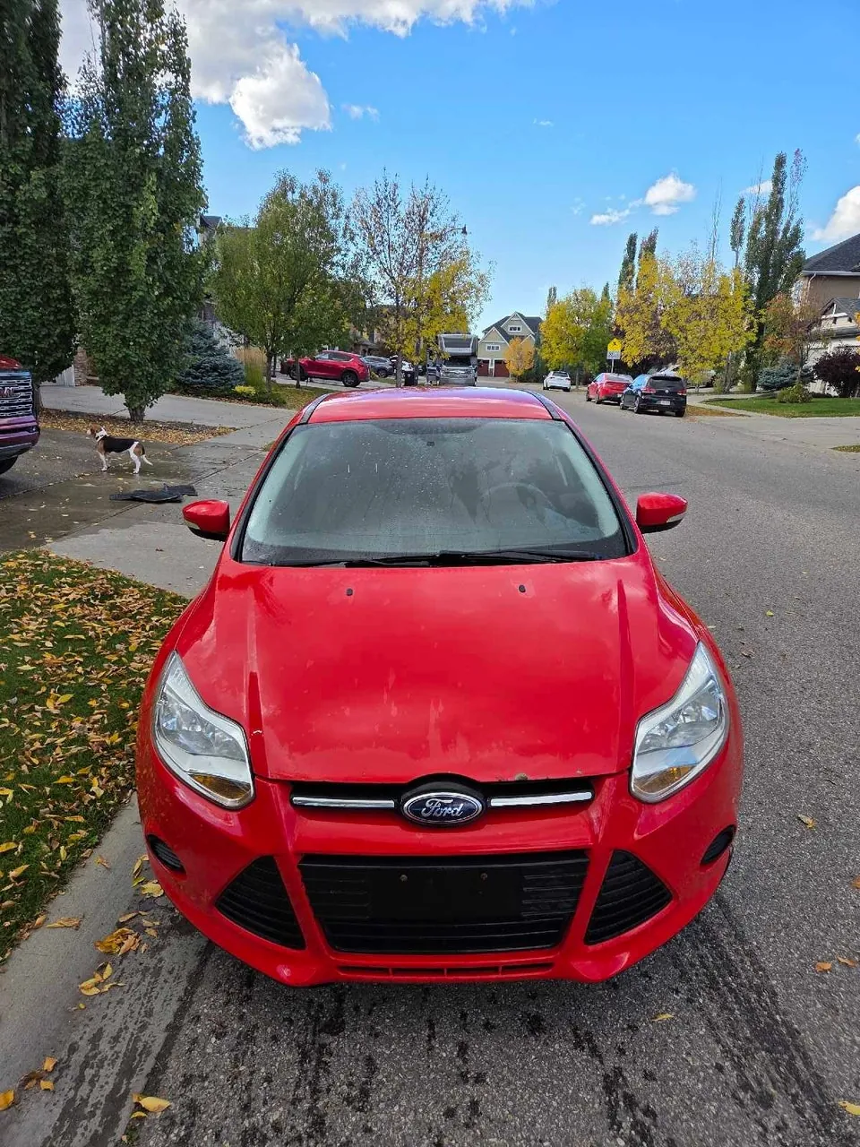 Ford Focus 2013 photo 3