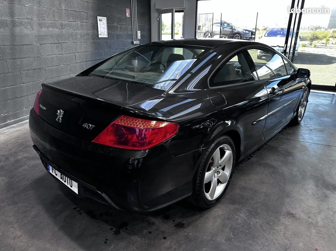 Peugeot 407 2006 photo 5