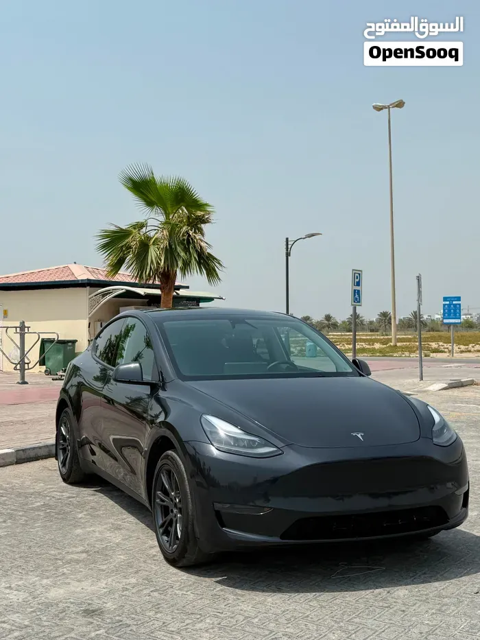 Tesla Model Y 2025 photo 2