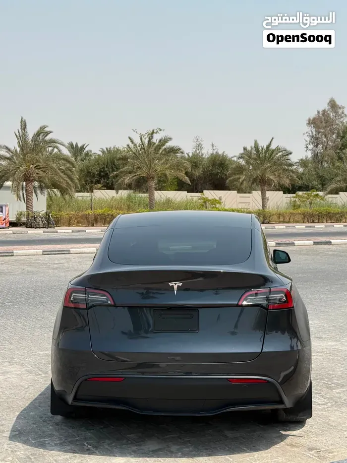 Tesla Model Y 2025 photo 4