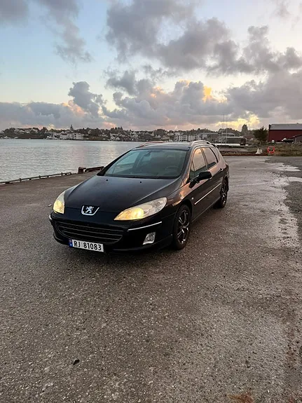 Peugeot 407
