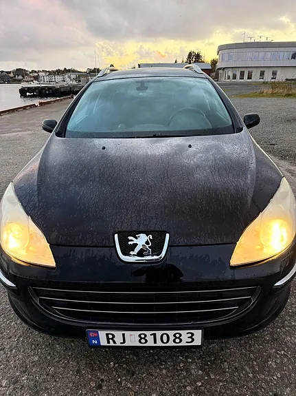 Peugeot 407 2007 photo 5