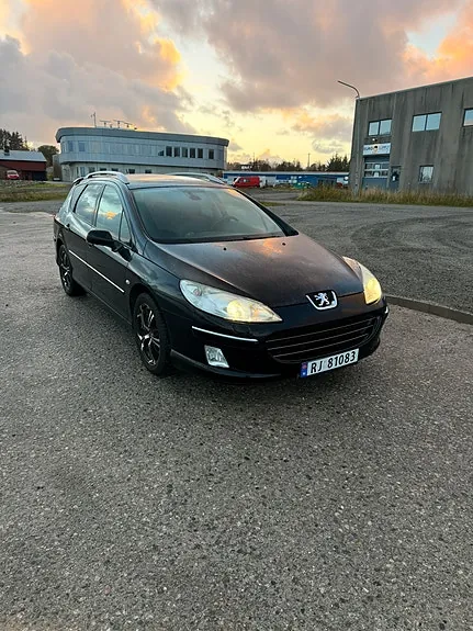 Peugeot 407 2007 photo 2