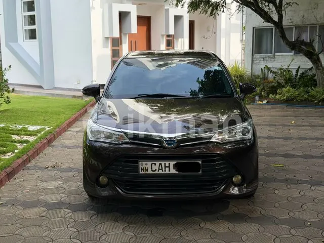 Toyota Axio 2015 photo 5