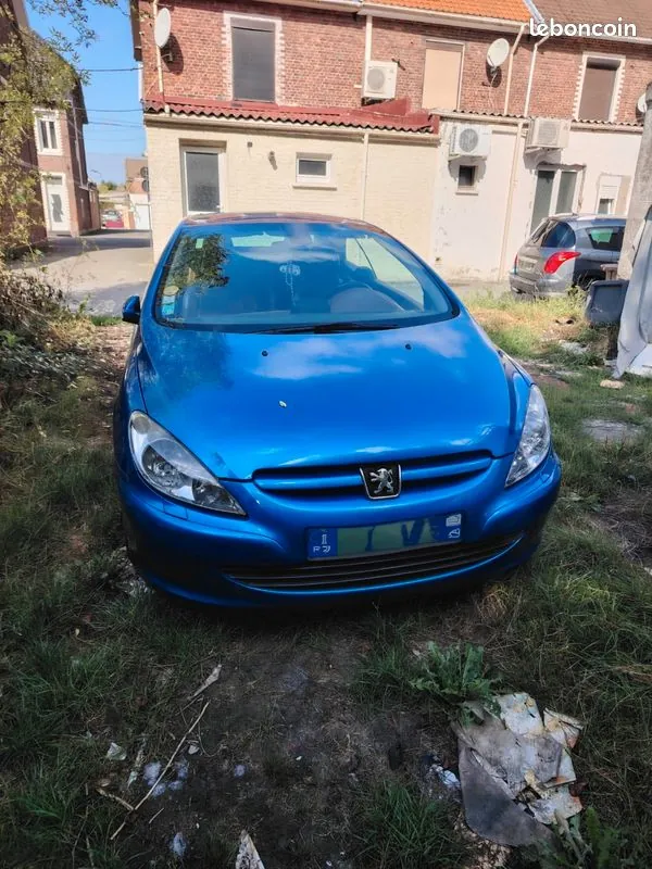 Peugeot 307 2004 photo 3