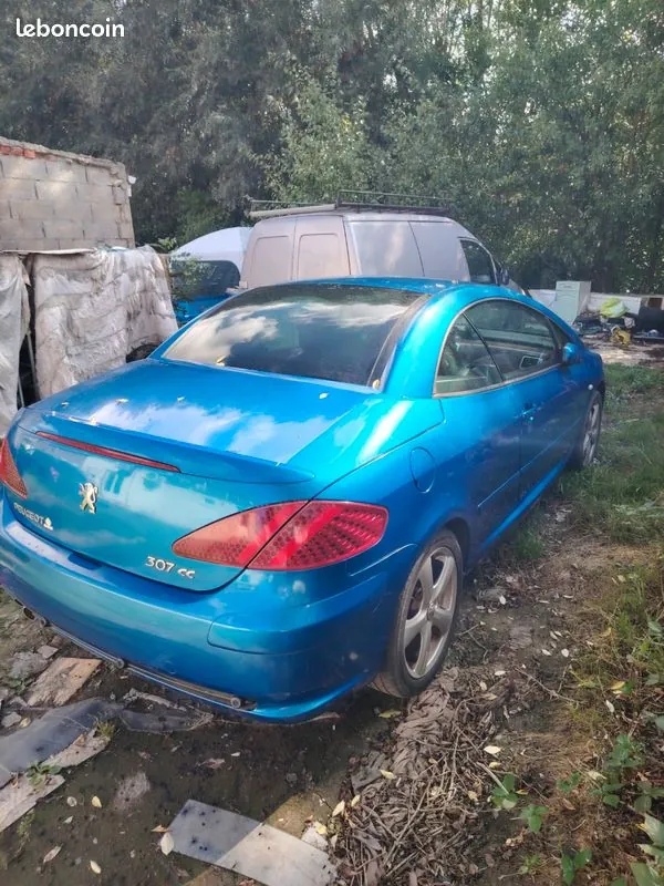 Peugeot 307 2004 photo 2
