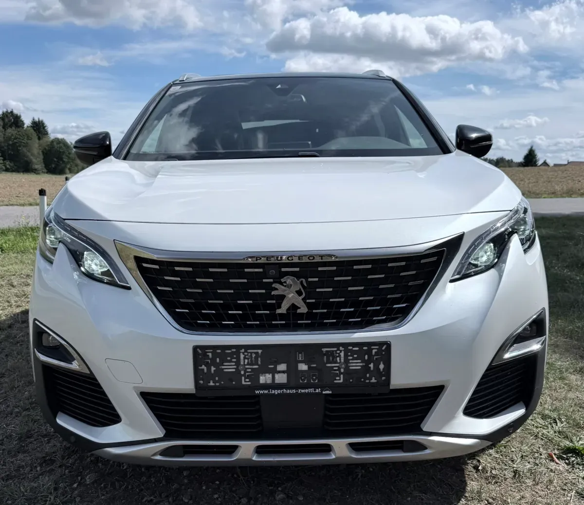Peugeot 3008 2016 photo 3
