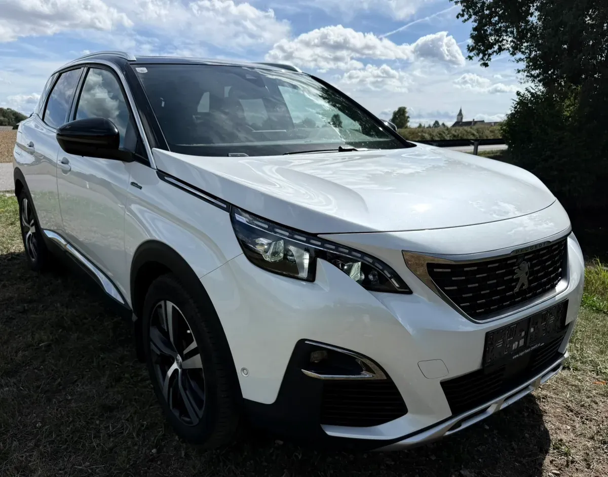 Peugeot 3008 2016 photo 2
