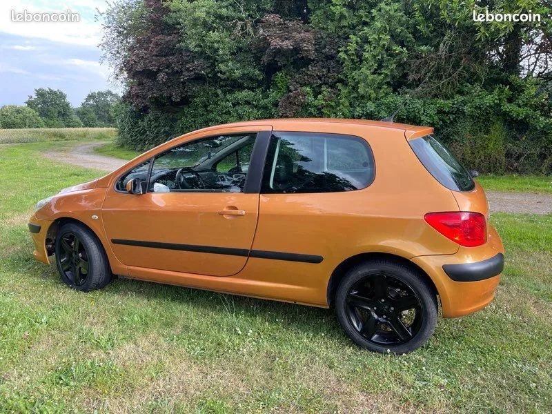 Peugeot 307 2005 photo 3