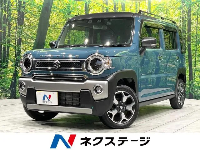 Suzuki Hausa
