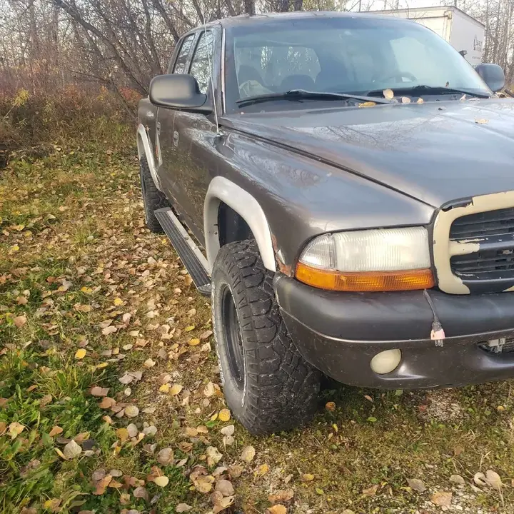 Dodge Dakota 2003 photo 2