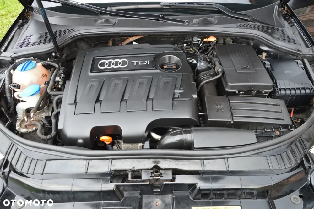 Audi A3 Sportback 2011 photo 2